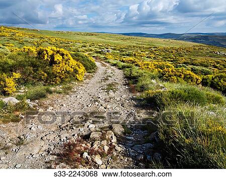 Puerto del Arenal road. Sierra de Gredos. Avila. Castilla Leon. Spain. Europe. View Large Photo Image Stock Photo - Puerto del Arenal road. Sierra de Gredos. Avila. Castilla Leon. Spain. Europe.. Fotosearch