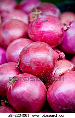Red onions. View Large Photo Image Stock Image - Red onions.. Fotosearch