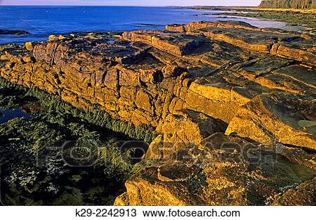 Rocky Atlantic coast at sunrise, Acadia National Park, Maine, USA. View Large Photo Image Stock Image - Rocky Atlantic coast at sunrise, Acadia National Park, Maine, USA.. Fotosearch