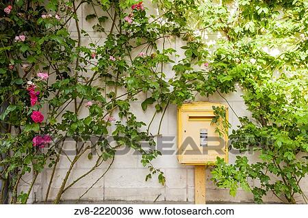 Stock Photograph - Roses around the post box in the village of Chedigny, France.. Fotosearch
