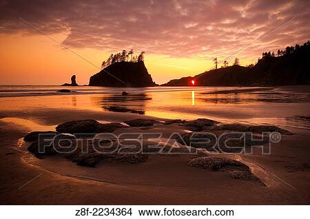 Second Beach at sunset, Olympic National Park, Washington. View Large Photo Image Picture - Second Beach at sunset, Olympic National Park, Washington.. Fotosearch
