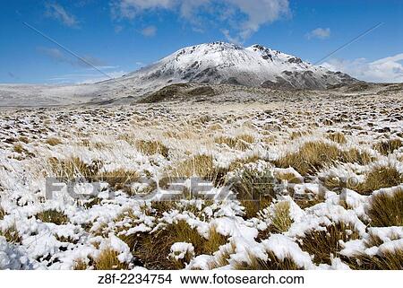 Snow-covered Steppe and Cerro Leon (1434m), Perito Moreno National Park, Southern Andean Patagonia, Santa Cruz, Argentina. View Large Photo Image Picture - Snow-covered Steppe and Cerro Leon (1434m), Perito Moreno National Park, Southern Andean Patagonia, Santa Cruz, Argentina.. Fotosearch