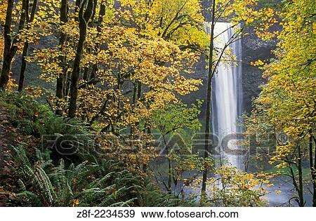 South Falls in autumn, Silver Falls State Park, Oregon. View Large Photo Image Stock Photo - South Falls in autumn, Silver Falls State Park, Oregon.. Fotosearch