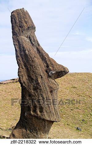 Statue called moai carved from the volcanic tuff rock on the slope of Rano Raraku, an extinct volcano. View Large Photo Image Stock Image - Statue called moai carved from the volcanic tuff rock on the slope of Rano Raraku, an extinct volcano.. Fotosearch