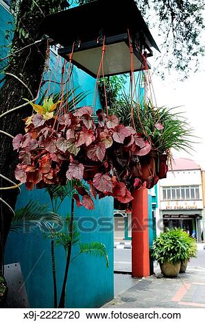 Street scene, kuching, Sarawak, Malaysia View Large Photo Image Stock Image - Street scene, kuching, Sarawak, Malaysia. Fotosearch