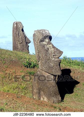 Stock Image - The greatest concentration of moai (ancestral spirit figures) on Easter Island are located at Rano Raraku, the hillside quarry where some are still buried in the earth, Chile.. Fotosearch