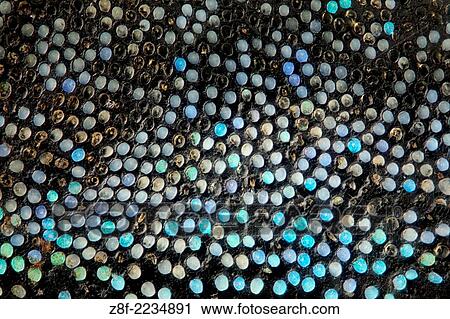 These weevils are among the most colorfull ones in the world; high magnification detail of the scales in the thorax. View Large Photo Image Stock Image - These weevils are among the most colorfull ones in the world; high magnification detail of the scales in the thorax.. Fotosearch