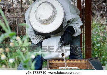 Stock Image - Tilburg, Netherlands. An urban beekeeper, taking care of his bees on an urban location in the city.. Fotosearch