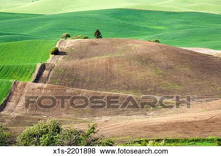 Stock Photo - Tilled farm land ready for a new crop.. Fotosearch
