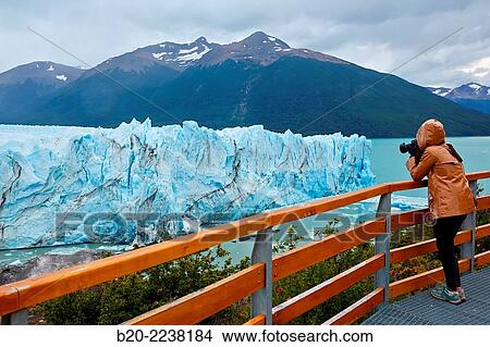 Tourist taking pictures. Perito Moreno glacier. Los Glaciares National Park. Near EL Calafate. Santa Cruz province. Patagonia. Argentina. View Large Photo Image Picture - Tourist taking pictures. Perito Moreno glacier. Los Glaciares National Park. Near EL Calafate. Santa Cruz province. Patagonia. Argentina.. Fotosearch