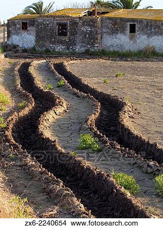 Tractor trail at dry rice fields in winter. Ebro River Delta Natural Park, Tarragona province, Catalonia, Spain. View Large Photo Image Picture - Tractor trail at dry rice fields in winter. Ebro River Delta Natural Park, Tarragona province, Catalonia, Spain.. Fotosearch