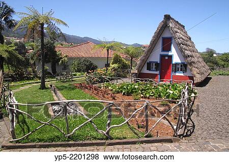 Traditional Palheiro thatched cottage Santana Madeira. View Large Photo Image Stock Photo - Traditional Palheiro thatched cottage Santana Madeira.. Fotosearch