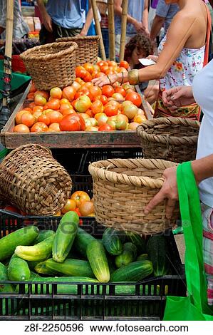 Stock Photograph - Two women using baskets and choosing vegetables at the Organic Fair in Amon.. Fotosearch