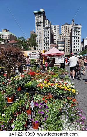 Union Square greenmarket, New York City. View Large Photo Image Stock Image - Union Square greenmarket, New York City.. Fotosearch