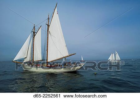 USA, Massachusetts, Gloucester, Schooner Festival, schooners in Gloucester Harbor. View Large Photo Image Stock Image - USA, Massachusetts, Gloucester, Schooner Festival, schooners in Gloucester Harbor.. Fotosearch