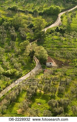 Stock Image - Val d` Orcia Tuscany Italy View from Castiglione d`Orcia.. Fotosearch