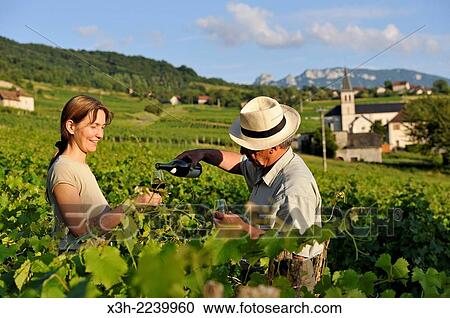Veronique Dupasquier, wine grower, tasting wine in the vineyard at Jongieux, Savoie department, Rhone-Alpes region, France, Europe. View Large Photo Image Stock Image - Veronique Dupasquier, wine grower, tasting wine in the vineyard at Jongieux, Savoie department, Rhone-Alpes region, France, Europe.. Fotosearch
