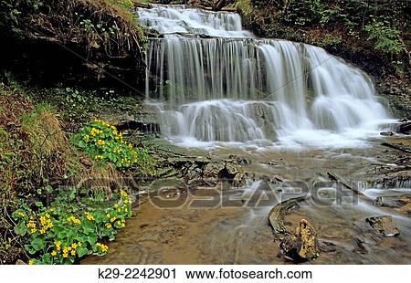 Wagner Falls in spring, Munising, Michigan, USA. View Large Photo Image Stock Image - Wagner Falls in spring, Munising, Michigan, USA.. Fotosearch