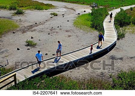 Walking Trail Boardwalk Robinson Preserve Nature Bradenton Florida FL US USA. View Large Photo Image Stock Image - Walking Trail Boardwalk Robinson Preserve Nature Bradenton Florida FL US USA.. Fotosearch