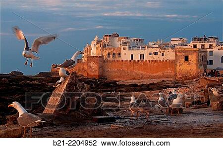 Walls of the former Portuguese town, Essaouira, Morocco View Large Photo Image Stock Image - Walls of the former Portuguese town, Essaouira, Morocco. Fotosearch