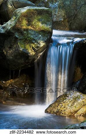 Stock Image - Waterfall on stream along Redwood Nature Trail, Siskiyou National Forest, Oregon.. Fotosearch