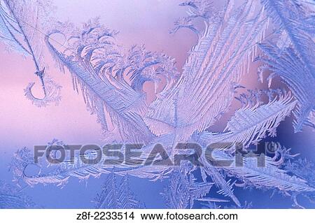 Window frost abstract feathers at sunrise in winter Kleefeld Manitoba Canada. View Large Photo Image Picture - Window frost abstract feathers at sunrise in winter Kleefeld Manitoba Canada.. Fotosearch