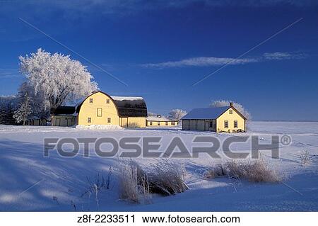 Yellow barn farm building with winter hoarfrost covered tree and pristine prairie landscape with blue sky near Landmark Manitoba Canada. View Large Photo Image Stock Image - Yellow barn farm building with winter hoarfrost covered tree and pristine prairie landscape with blue sky near Landmark Manitoba Canada.. Fotosearch