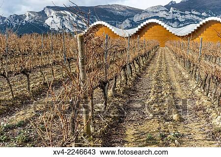 Ysios winery, Laguardia, Rioja Alavesa, Araba, Basque Country, Spain. View Large Photo Image Stock Image - Ysios winery, Laguardia, Rioja Alavesa, Araba, Basque Country, Spain.. Fotosearch