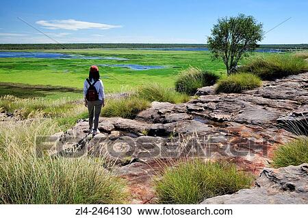 Stock Image - Australia, Northern Territory, Kakadu National Park listed as World Heritage by UNESCO, Ubirr Rock, Model Released.. Fotosearch
