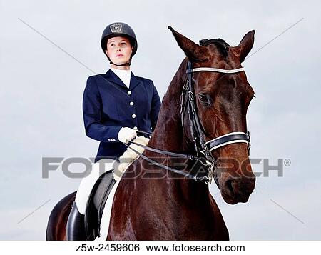 Stock Photograph - Brown horse and beautiful woman wearing horse riding apparel - focus on horse.. Fotosearch