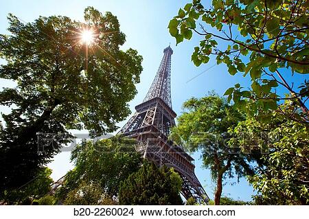 Picture - Eiffel tower. Paris. France.. Fotosearch