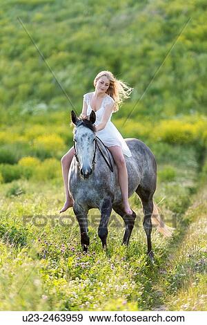 Girl riding a grey horse. View Large Photo Image Stock Photo - Girl riding a grey horse.. Fotosearch