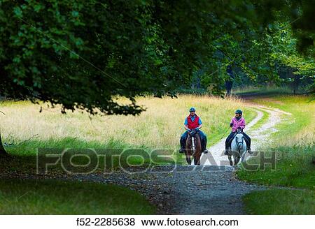 Stock Photo - Horses, Dyrehaven, Denmark, Europe.. Fotosearch