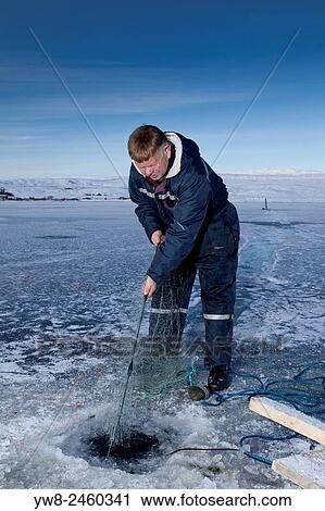 Ice fishing for arctic char on Lake Thingvellir, Thingvellir National Park, Iceland. View Large Photo Image Stock Image - Ice fishing for arctic char on Lake Thingvellir, Thingvellir National Park, Iceland.. Fotosearch
