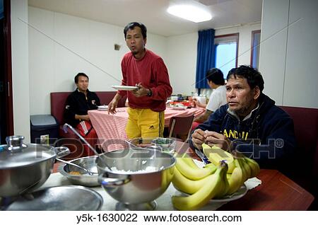 Indonesian seamen or sailors on the container-vessel MV Flintercape, during a journey from Rotterdam, Netherlands, to Sundsvall, Sweden. The men are known as ´Able Seaman´, who generally work on deck. After work they eat and relax in the galley. View Large Photo Image Stock Image - Indonesian seamen or sailors on the container-vessel MV Flintercape, during a journey from Rotterdam, Netherlands, to Sundsvall, Sweden. The men are known as ´Able Seaman´, who generally work on deck. After work they eat and relax in the galley.. Fotosearch