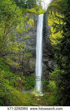 Latourell Falls in the Columbia River Gorge, Oregon, USA View Large Photo Image Stock Photography - Latourell Falls in the Columbia River Gorge, Oregon, USA. Fotosearch
