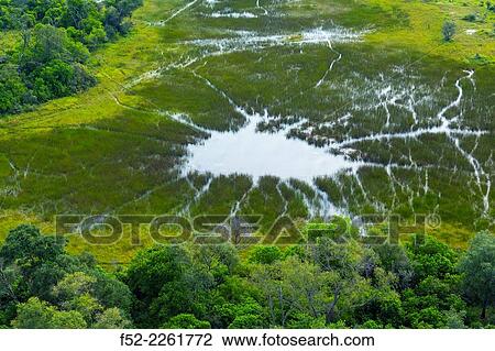 Stock Image - Okavango Delta, Botswana, Africa.. Fotosearch