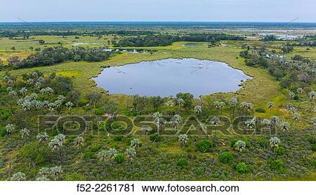 Okavango Delta, Botswana, Africa. View Large Photo Image Stock Image - Okavango Delta, Botswana, Africa.. Fotosearch