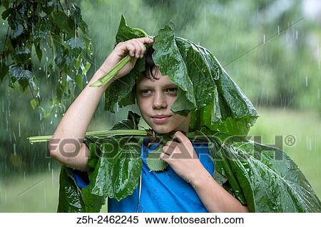 Stock Photography - Russian Federation. Belgorod region. The boy in the rain uryvshiysya leaves of the plant.. Fotosearch