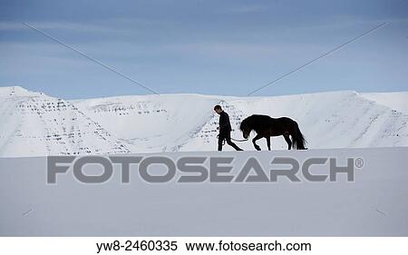 Stock Photography - Trainer with horse in the winter, Iceland.. Fotosearch