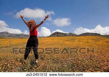 Stock Image - Woman at the golden daisy field, Rethymno Region, Crete, Greek Islands, Greece, Europe.. Fotosearch