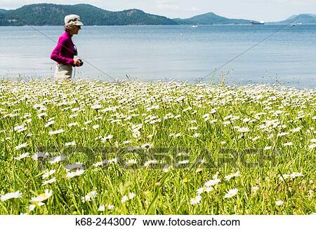 Stock Photo - a woman, 78, walks in a park on Saturna Island, Gulf Islands, BC, Canada. Fotosearch