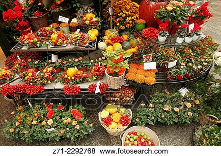 Austria, Vienna, flower shop, flowers. View Large Photo Image Stock Photo - Austria, Vienna, flower shop, flowers.. Fotosearch