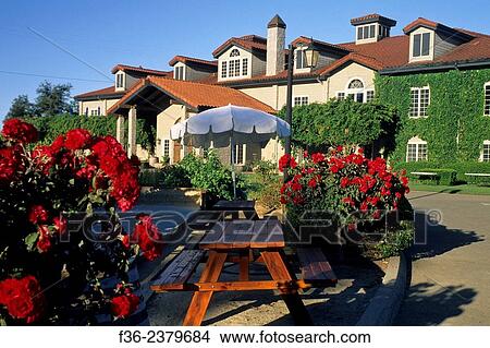 Byington Vineyard & Winery, Santa Cruz Mountains, California. View Large Photo Image Picture - Byington Vineyard & Winery, Santa Cruz Mountains, California.. Fotosearch