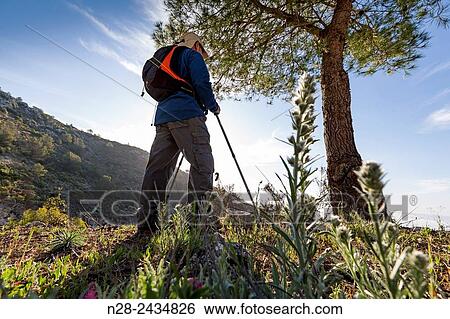 Hiking, Sierra Benalmadena, Malaga province, Andalusia, Spain View Large Photo Image Stock Photograph - Hiking, Sierra Benalmadena, Malaga province, Andalusia, Spain. Fotosearch