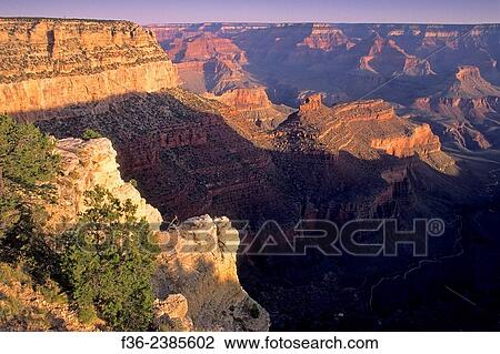 Morning light on the South Rim, near Grand Canyon Village, Grand Canyon National Park, ARIZONA. View Large Photo Image Stock Image - Morning light on the South Rim, near Grand Canyon Village, Grand Canyon National Park, ARIZONA.. Fotosearch
