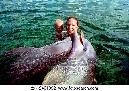 Mother with children swimming with dolphins in Rancho Cangrejo, Varadero, Cuba. View Large Photo Image Stock Image - Mother with children swimming with dolphins in Rancho Cangrejo, Varadero, Cuba.. Fotosearch