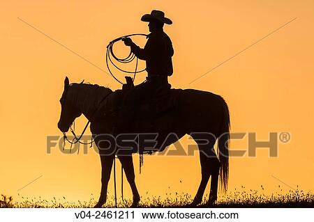 Single wrangler (cowboy) on horse at sunset, California, USA View Large Photo Image Stock Image - Single wrangler (cowboy) on horse at sunset, California, USA. Fotosearch