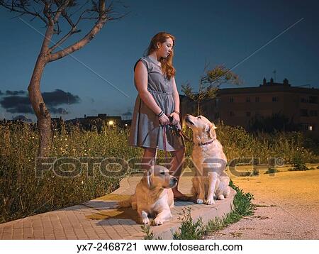 Teenager and her pet dogs on the street at dusk. View Large Photo Image Stock Image - Teenager and her pet dogs on the street at dusk.. Fotosearch