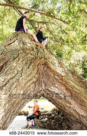 Stock Photography - two girls, 12 years on a tree, watched by a woman, 50 years, Saturna Island, Gulf Islands, British Columbia, Canada.. Fotosearch